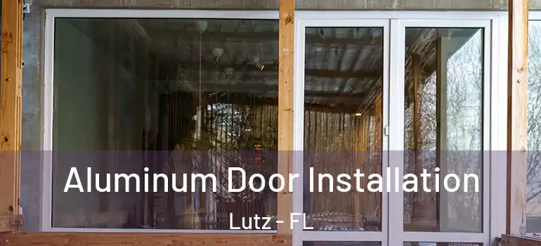  Aluminum Door Installation Lutz - FL
