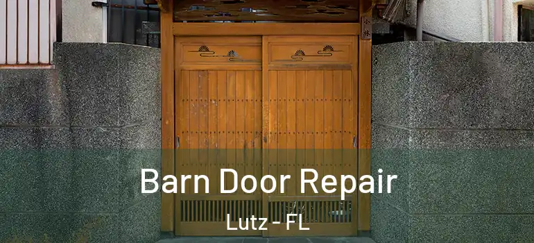  Barn Door Repair Lutz - FL