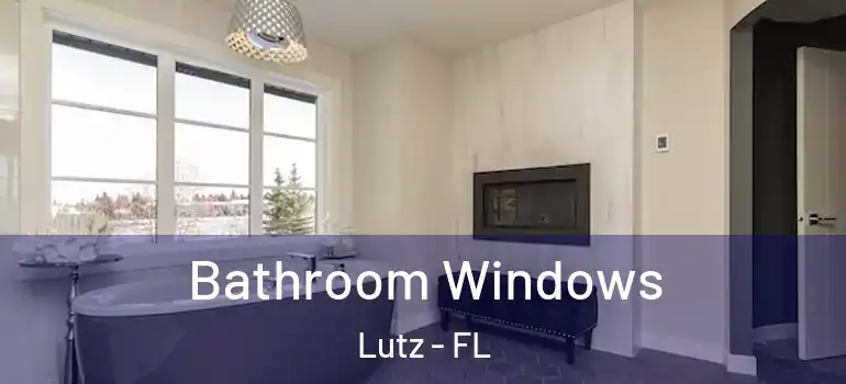 Bathroom Windows Lutz - FL