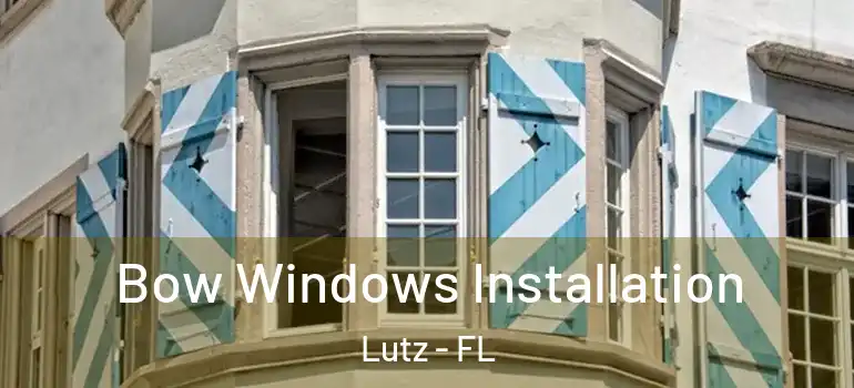  Bow Windows Installation Lutz - FL