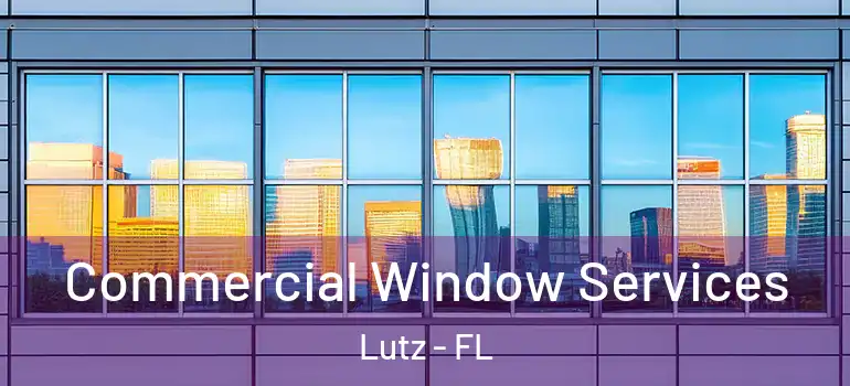  Commercial Window Services Lutz - FL