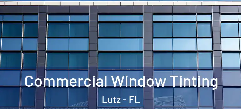  Commercial Window Tinting Lutz - FL