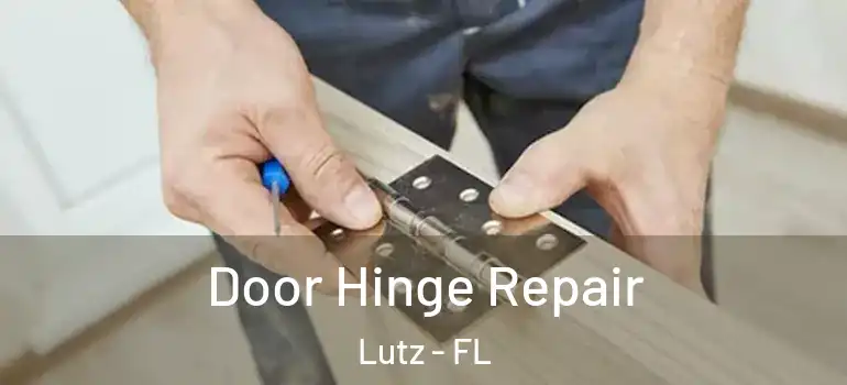  Door Hinge Repair Lutz - FL