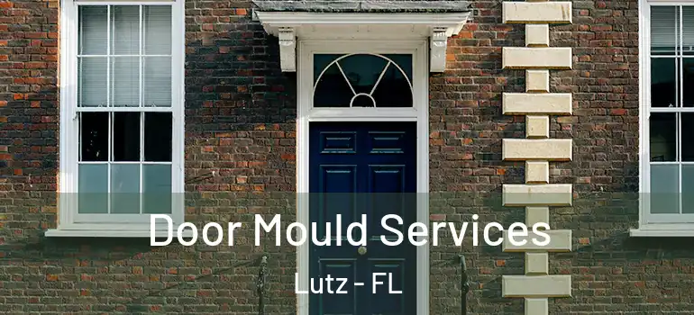  Door Mould Services Lutz - FL