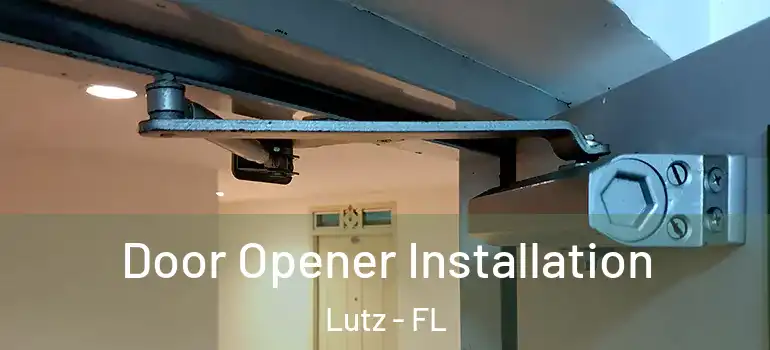  Door Opener Installation Lutz - FL