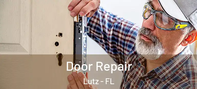  Door Repair Lutz - FL