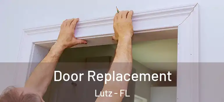  Door Replacement Lutz - FL