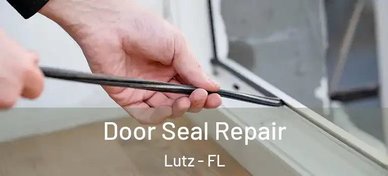  Door Seal Repair Lutz - FL