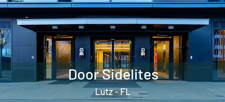  Door Sidelites Lutz - FL