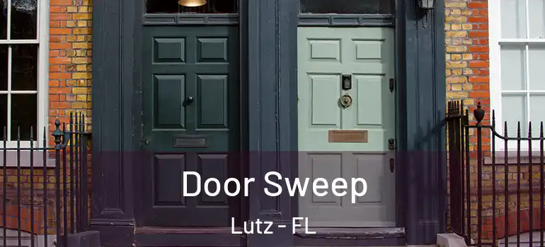  Door Sweep Lutz - FL