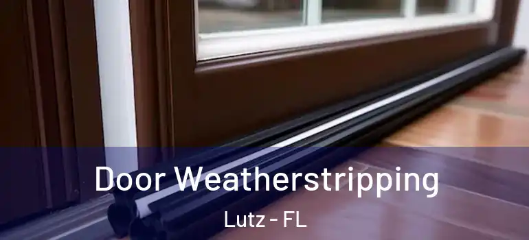  Door Weatherstripping Lutz - FL