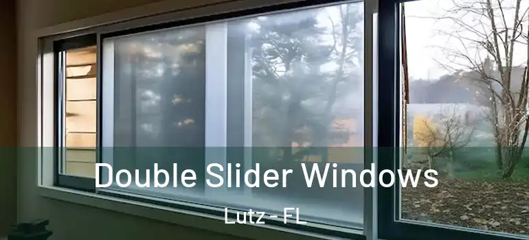  Double Slider Windows Lutz - FL