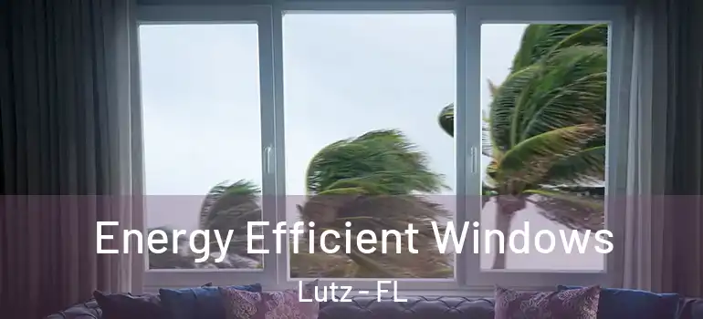  Energy Efficient Windows Lutz - FL