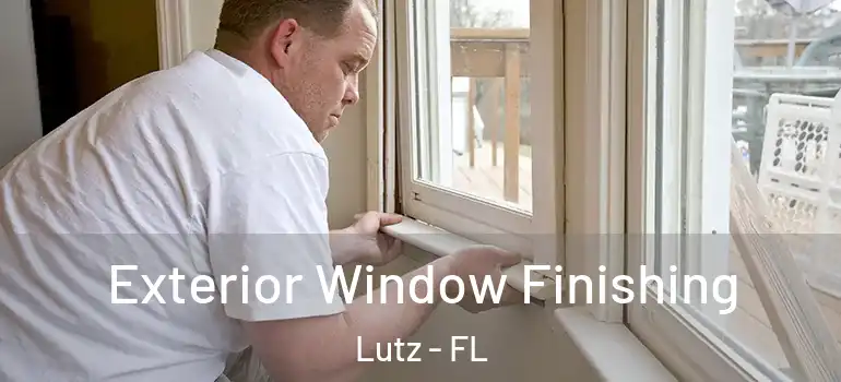  Exterior Window Finishing Lutz - FL