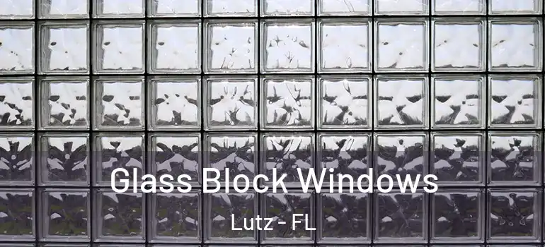  Glass Block Windows Lutz - FL