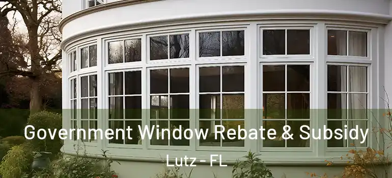  Government Window Rebate & Subsidy Lutz - FL