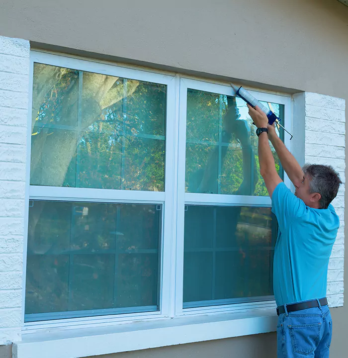 Modern Windows in Lutz, FL