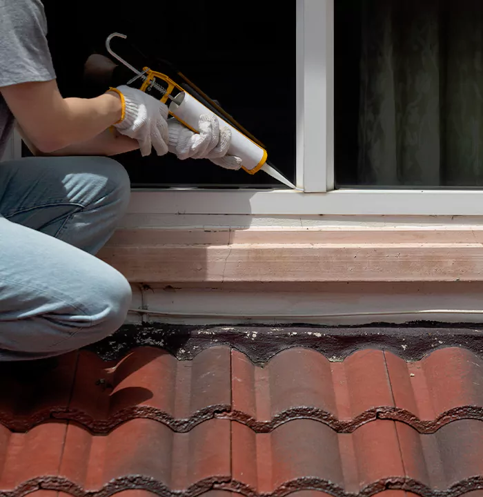 Roof Window Services in Lutz, Florida