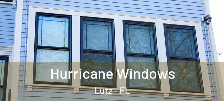 Hurricane Windows Lutz - FL