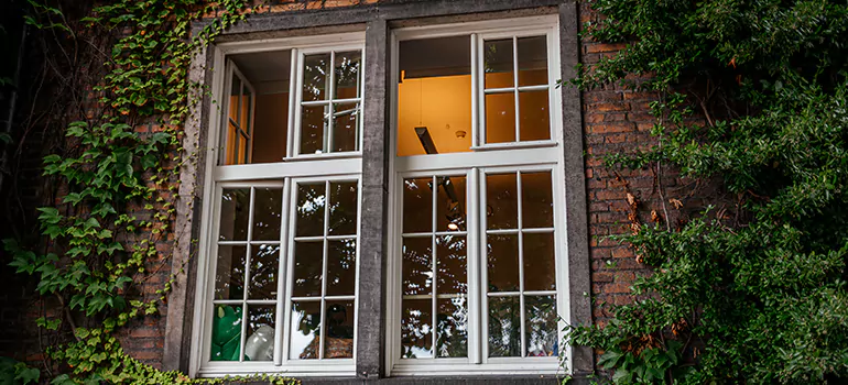 Energy Efficient Wood Windows in Lutz, FL