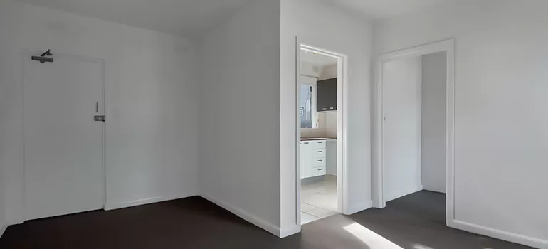 Dark Interior Doors in Lutz, FL