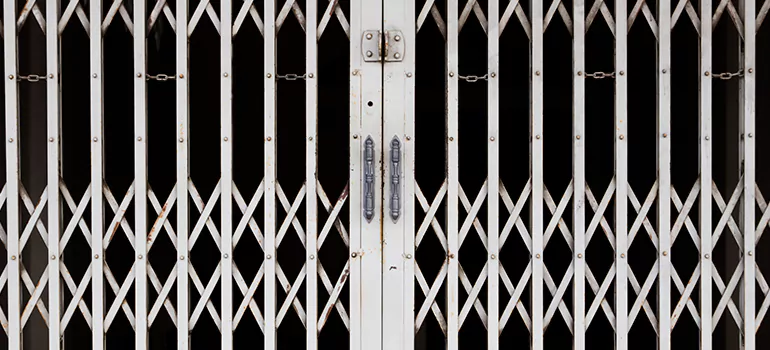 Steel Line Garage Door Repairs in Lutz, FL
