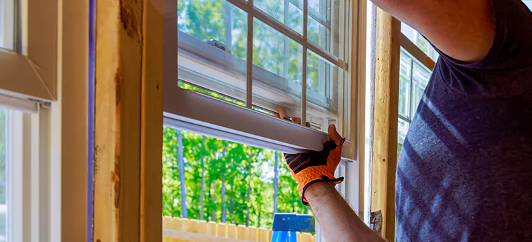 Decorative Window Film Services in Lutz, FL
