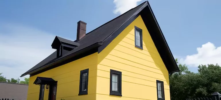 [Custom Black Windows in Lutz, FL