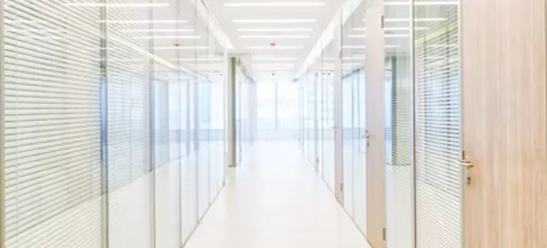 Frosted Glass Windows Replacement in Lutz, FL