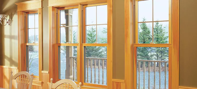 Government Incentives For Replacement Windows in Lutz, FL