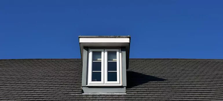 Roof Window Installation in Lutz, FL