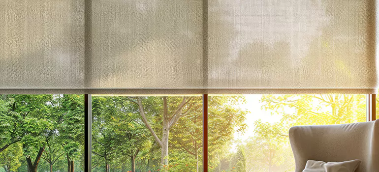Custom Window Shades in Lutz, FL