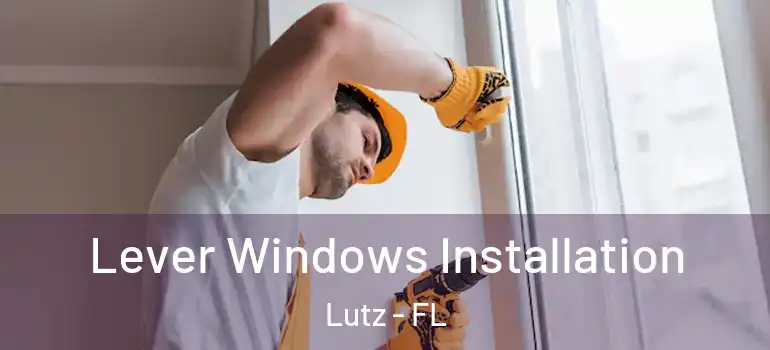  Lever Windows Installation Lutz - FL