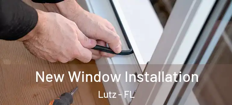  New Window Installation Lutz - FL