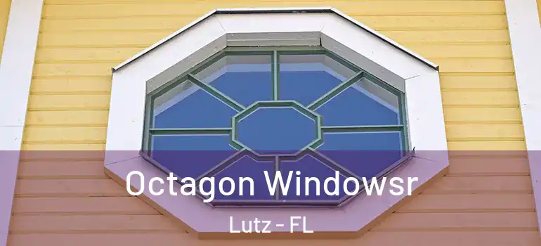  Octagon Windowsr Lutz - FL