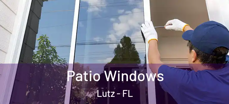  Patio Windows Lutz - FL