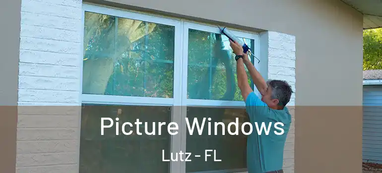  Picture Windows Lutz - FL