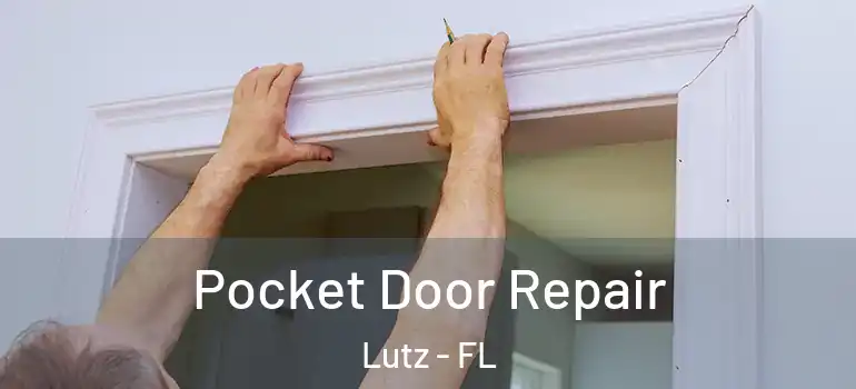  Pocket Door Repair Lutz - FL