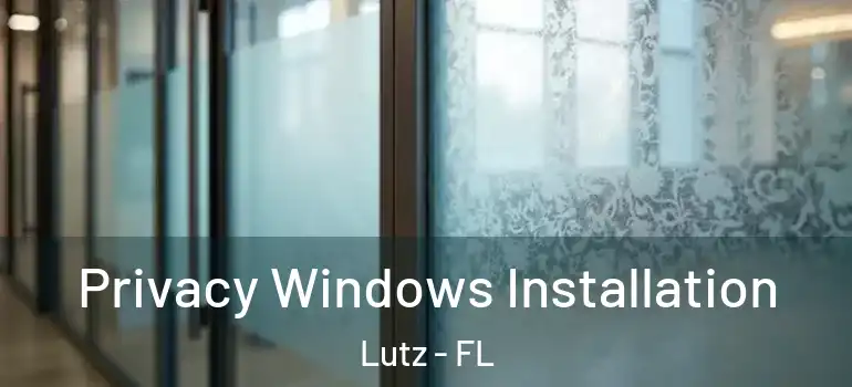  Privacy Windows Installation Lutz - FL