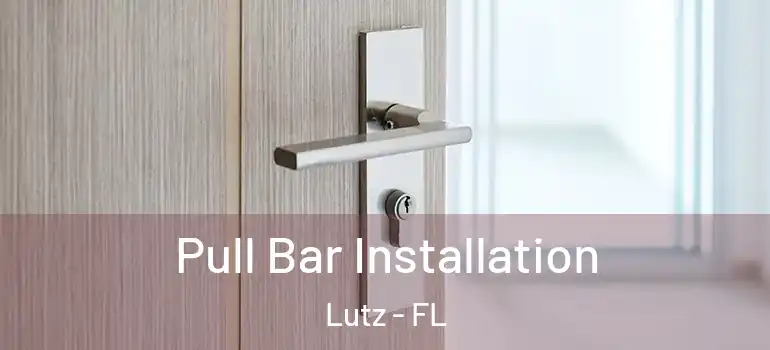  Pull Bar Installation Lutz - FL