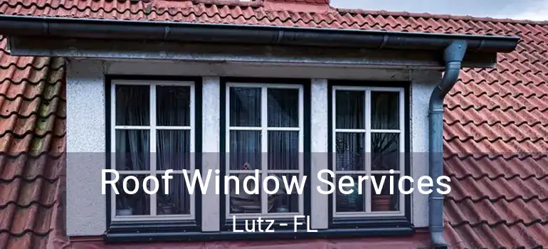  Roof Window Services Lutz - FL