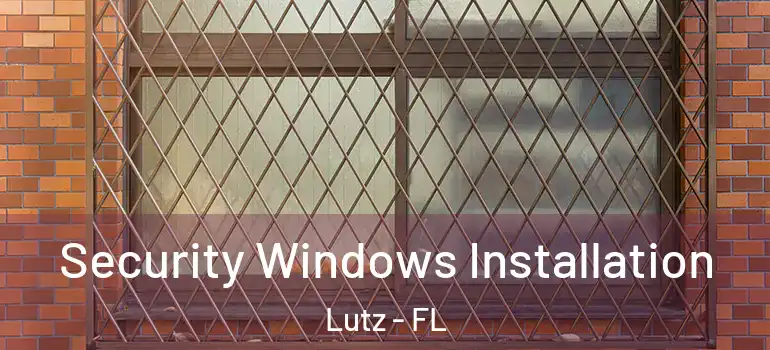  Security Windows Installation Lutz - FL