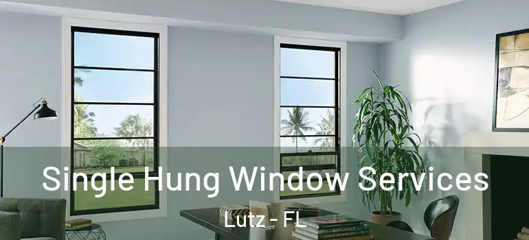  Single Hung Window Services Lutz - FL