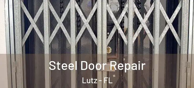  Steel Door Repair Lutz - FL