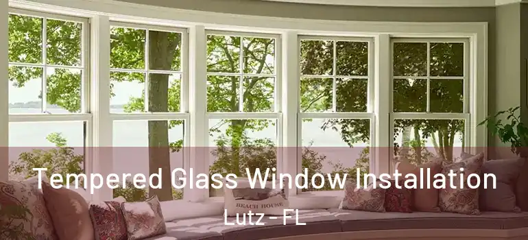  Tempered Glass Window Installation Lutz - FL