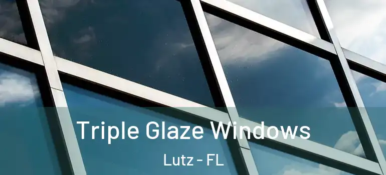  Triple Glaze Windows Lutz - FL