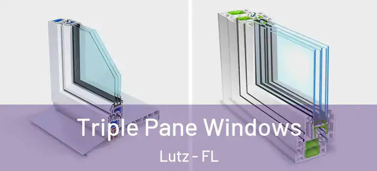  Triple Pane Windows Lutz - FL