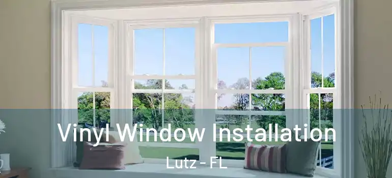  Vinyl Window Installation Lutz - FL