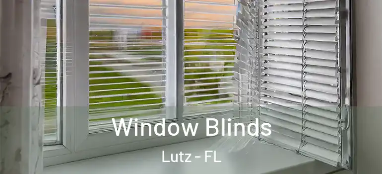 Window Blinds Lutz - FL