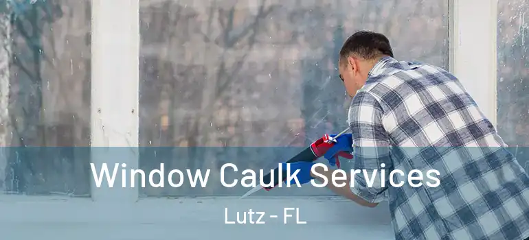  Window Caulk Services Lutz - FL